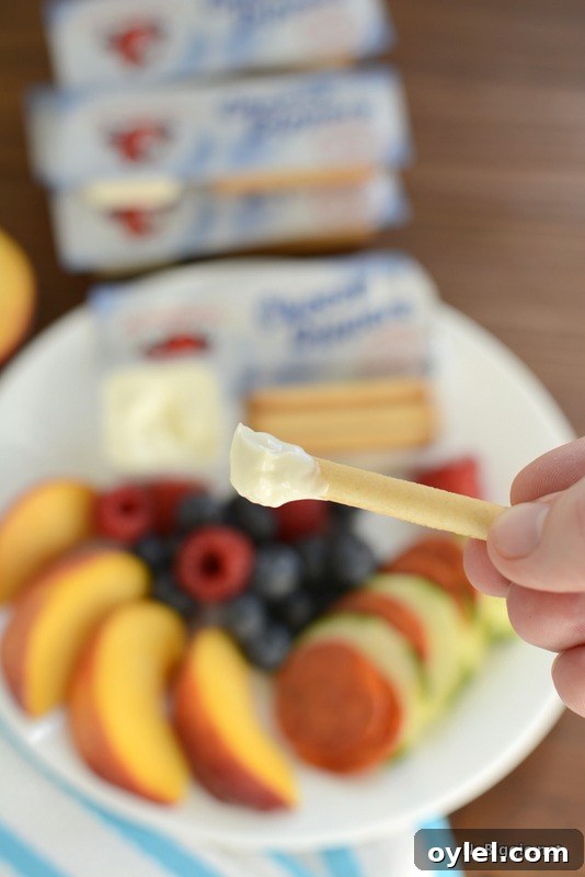 School Lunch Packing Guide for Busy Parents 5 cheese dippers | NoBiggie.net
