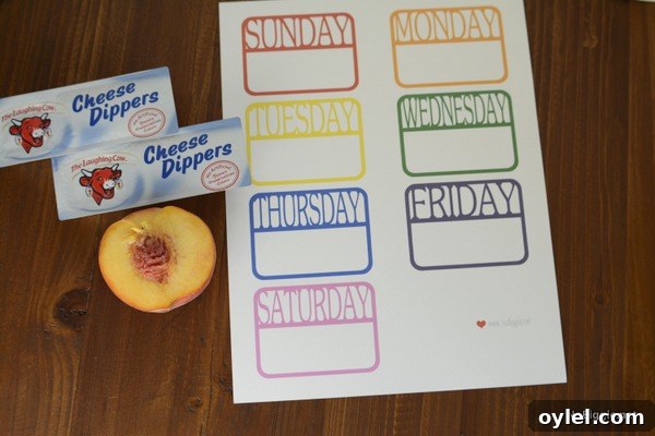 School Lunch Packing Guide for Busy Parents 6 day of the week notes | NoBiggie.net