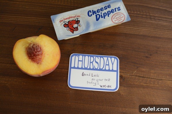 School Lunch Packing Guide for Busy Parents 7 printable lunch notes | NoBiggie.net