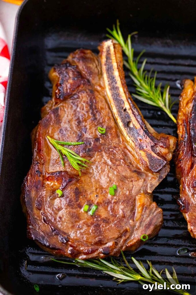 Overhead shot of Asian style grilled rib-eye steak in a grill pan with rosemary.