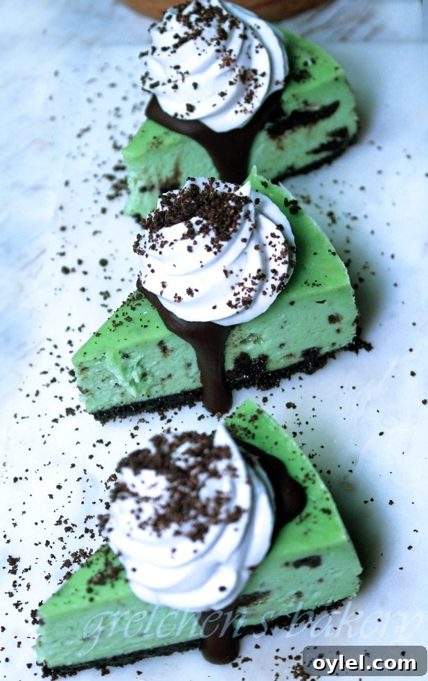 Vegan Grasshopper Cheesecake Recipe with Mint and Chocolate 3 Vegan Grasshopper Cheesecake