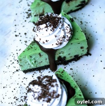 Vegan Grasshopper Cheesecake
