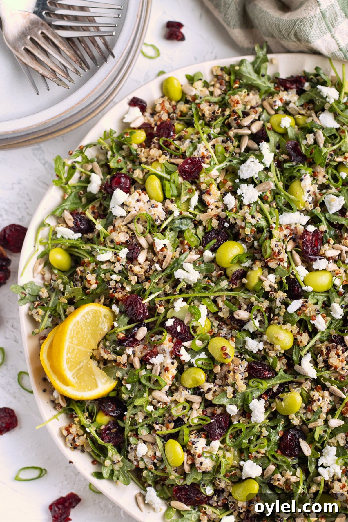 Plate with quinoa arugula salad ready to be served.