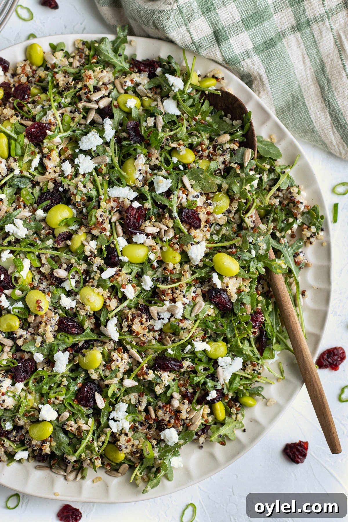 Picture of plate with quinoa salad and wooden spoon.