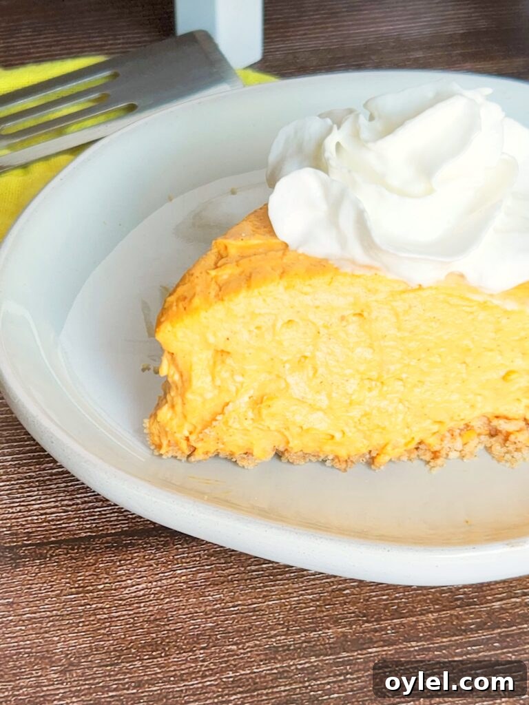 Finished no bake pumpkin cheesecake