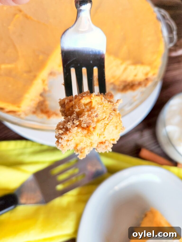 Pumpkin cheesecake close up