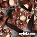 malt balls pressed into the top of fudge