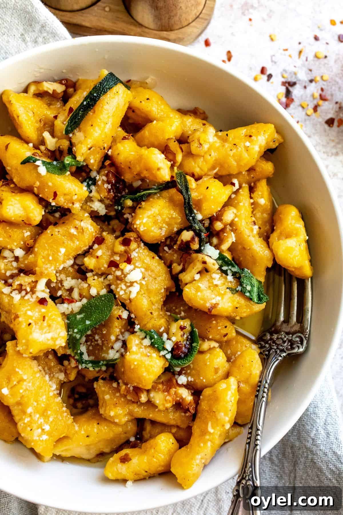 A close up image of butternut squash with gnocchi.