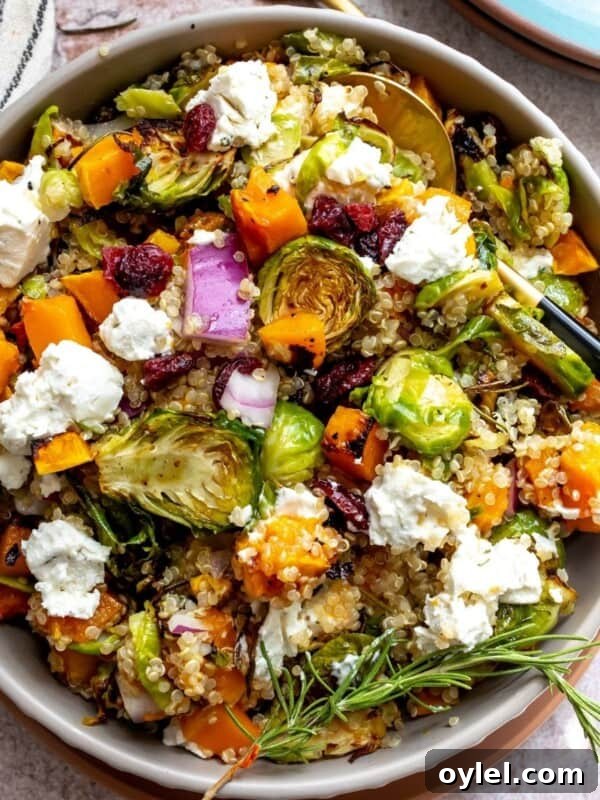 Butternut Squash Quinoa Salad