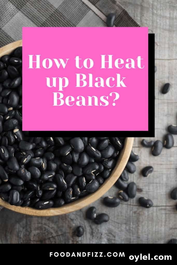 How to Reheat Black Beans Without Drying Them 2 How to Heat up Black Beans?
