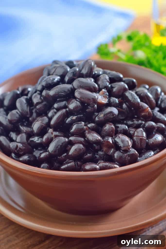 How to Reheat Black Beans Without Drying Them 6 Stirring is important when cooking Black Beans