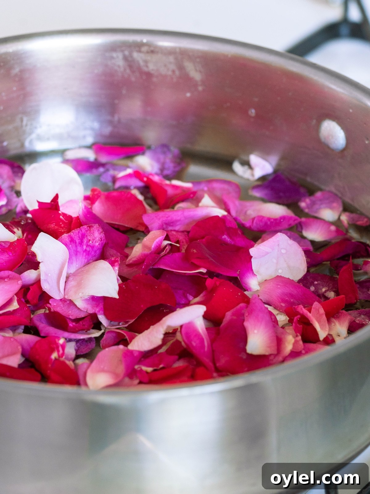 How to Make Rose Simple Syrup for Cocktails and Desserts 5 Rose petals in syrup