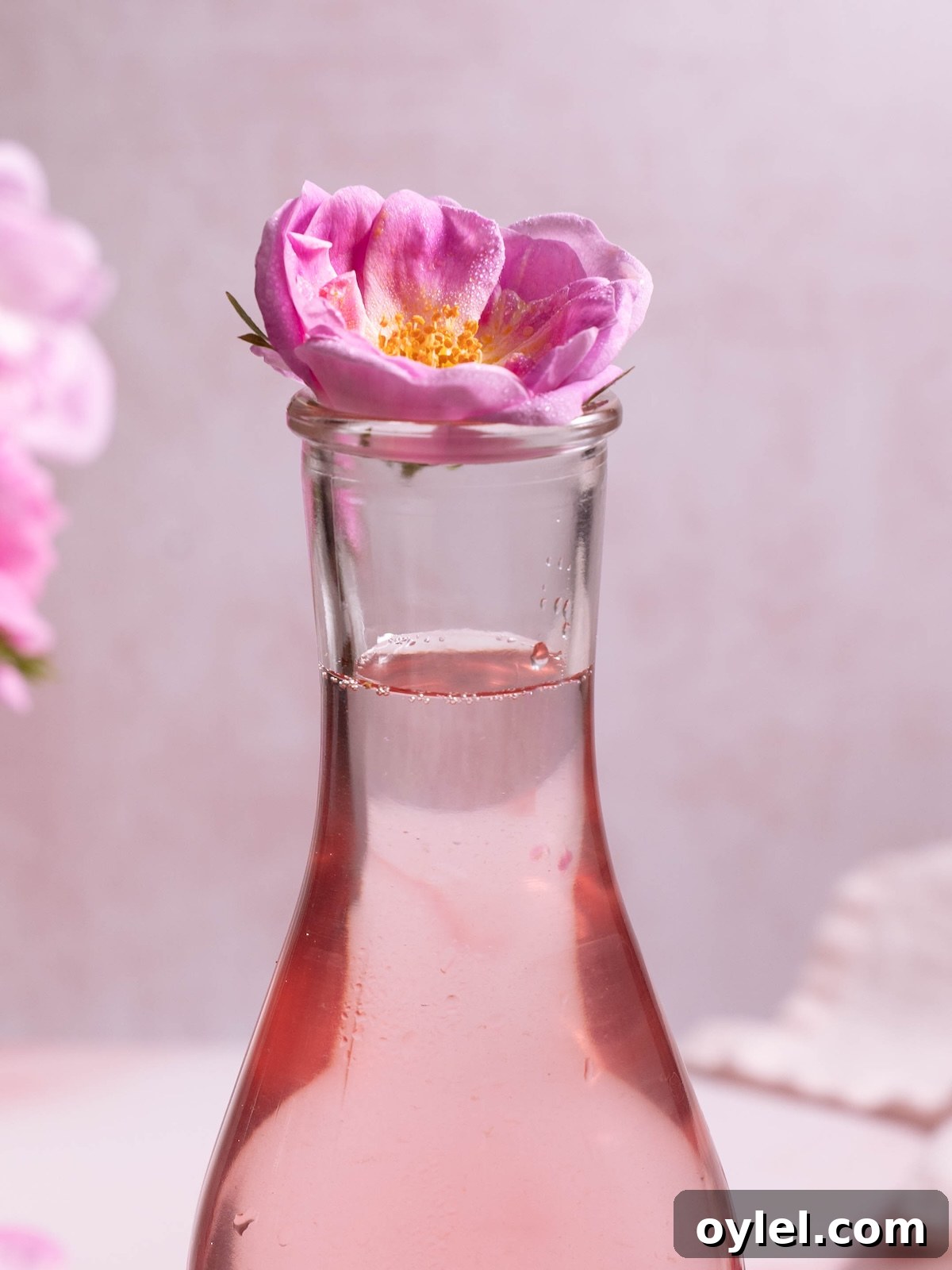 How to Make Rose Simple Syrup for Cocktails and Desserts 8 A wild rose sitting on top of a jar of rose syrup