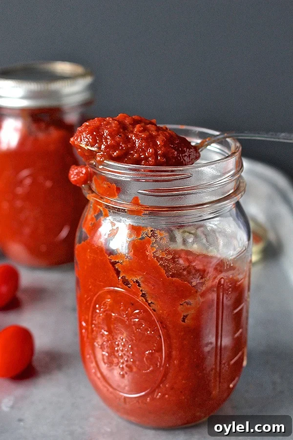 Homemade Paleo Whole30 Ketchup Recipe 2 Homemade Whole30 ketchup in a jar