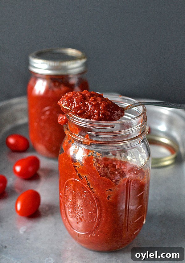 Homemade Paleo Whole30 Ketchup Recipe 3 Ingredients for homemade ketchup