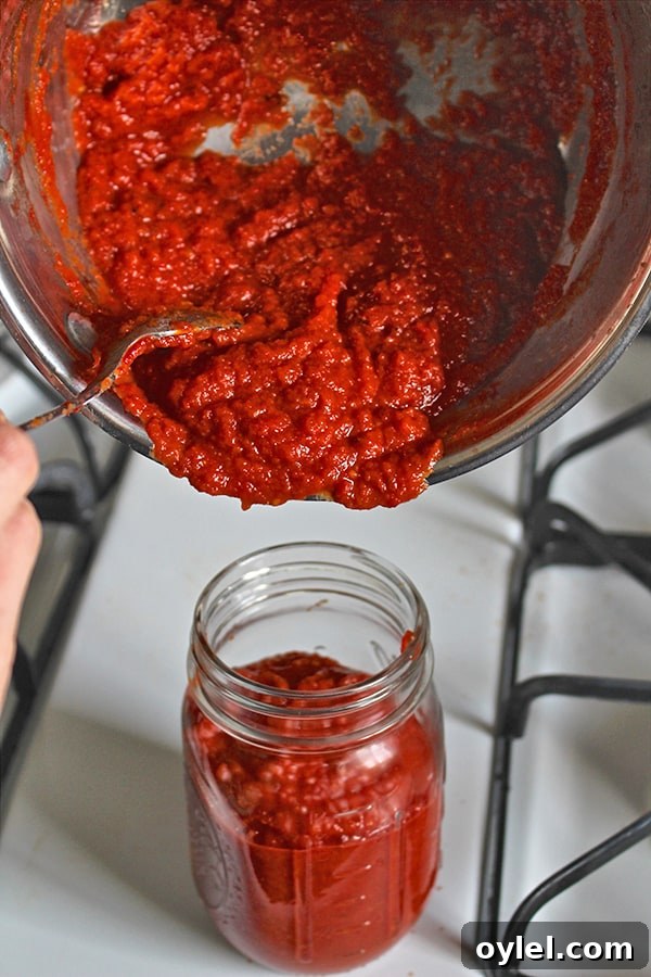 Homemade Paleo Whole30 Ketchup Recipe 6 Jars of homemade ketchup