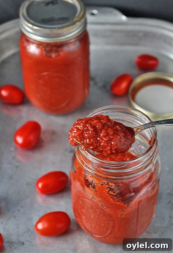 Homemade Paleo Whole30 Ketchup Recipe 7 Serving homemade ketchup