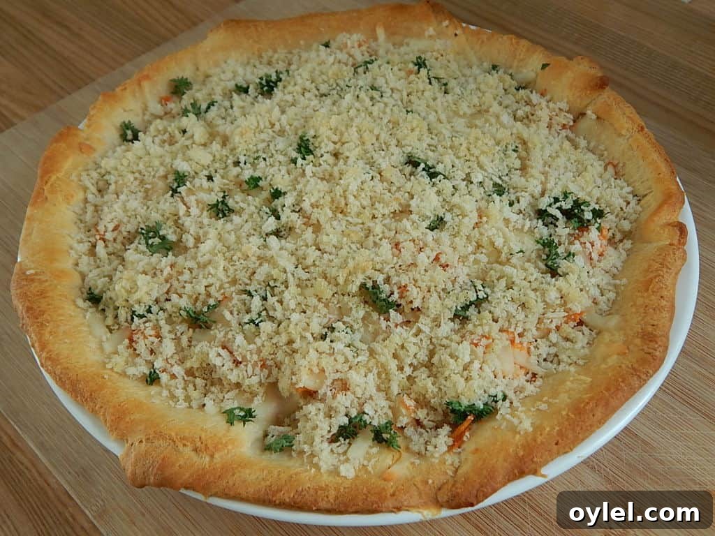 Chicken Parmesan Pie - top view