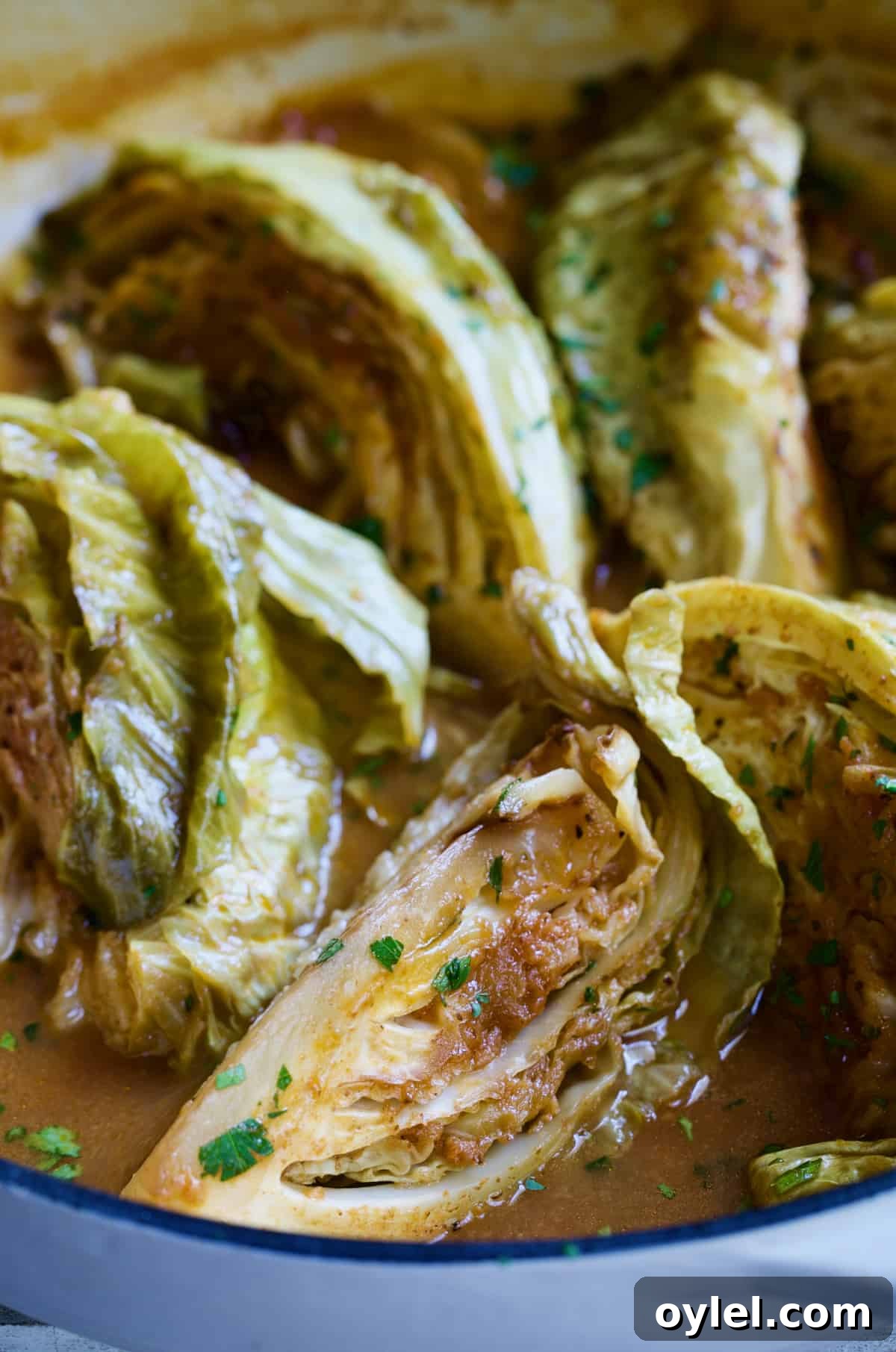 Cider Vinegar Braised Cabbage Wedges