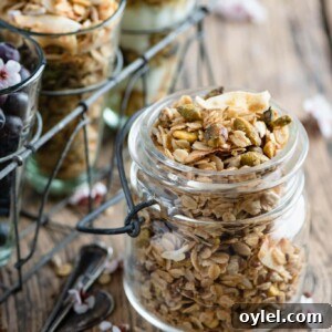 Homemade granola with pistachios and coconut.