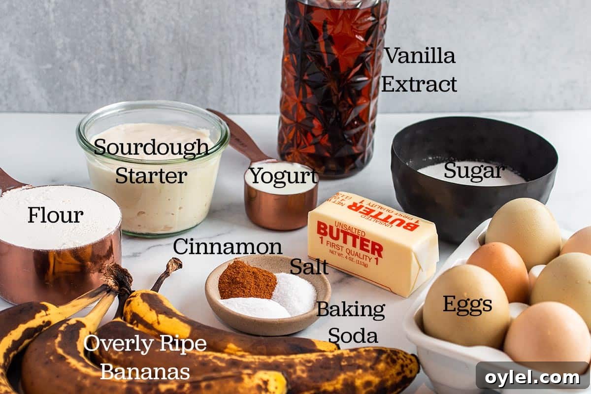 Moist Sourdough Discard Banana Bread Recipe 3 All the ingredients for banana bread. Vanilla extract, sugar, sourdough starter, yogurt, butter, eggs, salt, baking soda, cinnamon, overly ripe bananas, flour.