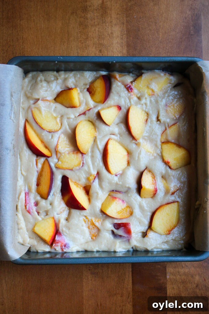 Cake in pan before baking