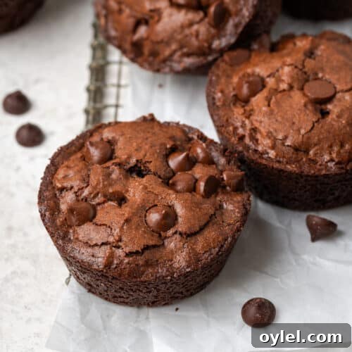 A small batch of brownies sitting on a cooling rack.