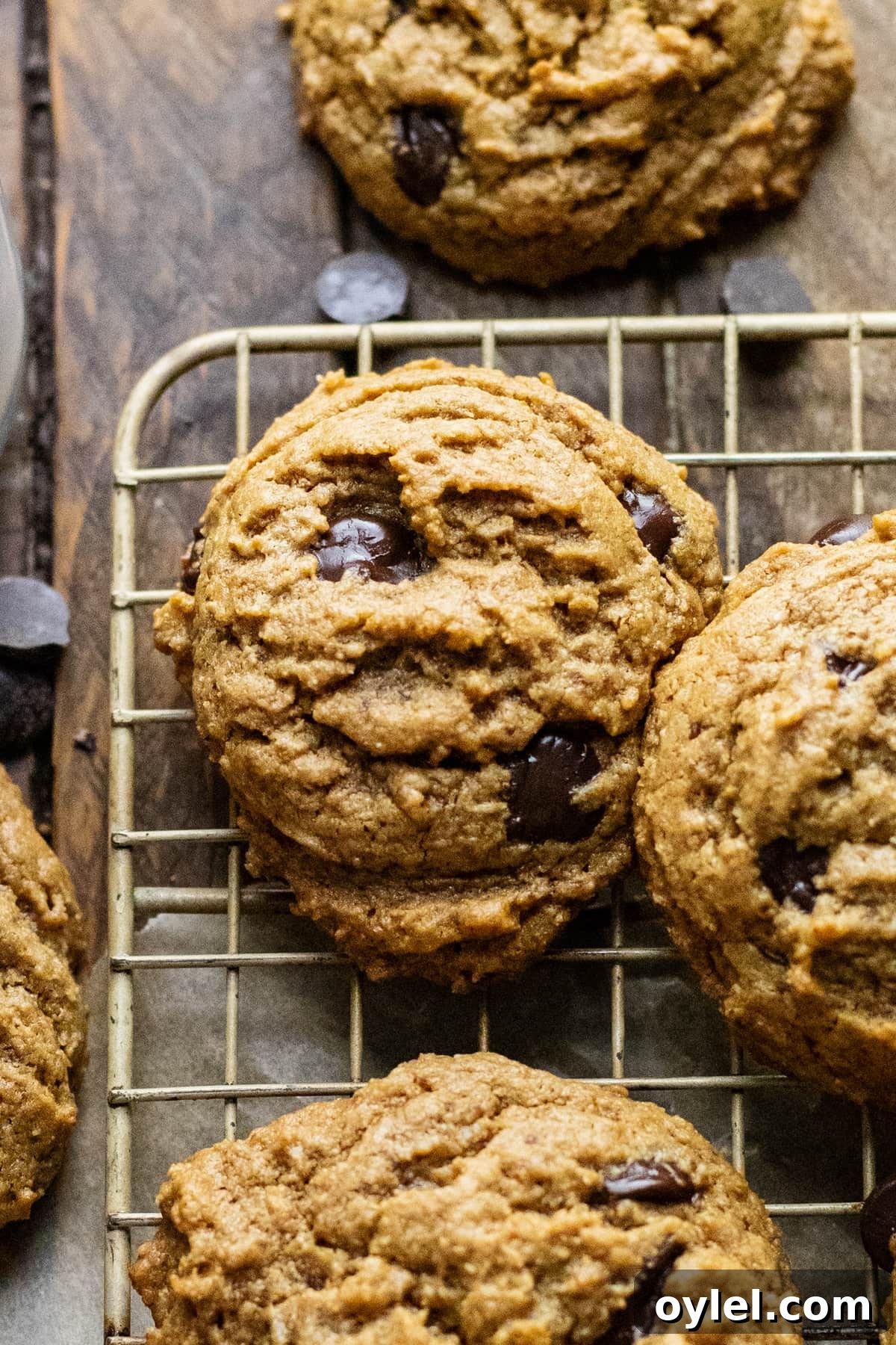 Flourless Chocolate Chip Cookies That Stay Chewy 9 flourless cookies arranged on cooling rack on wooden background.