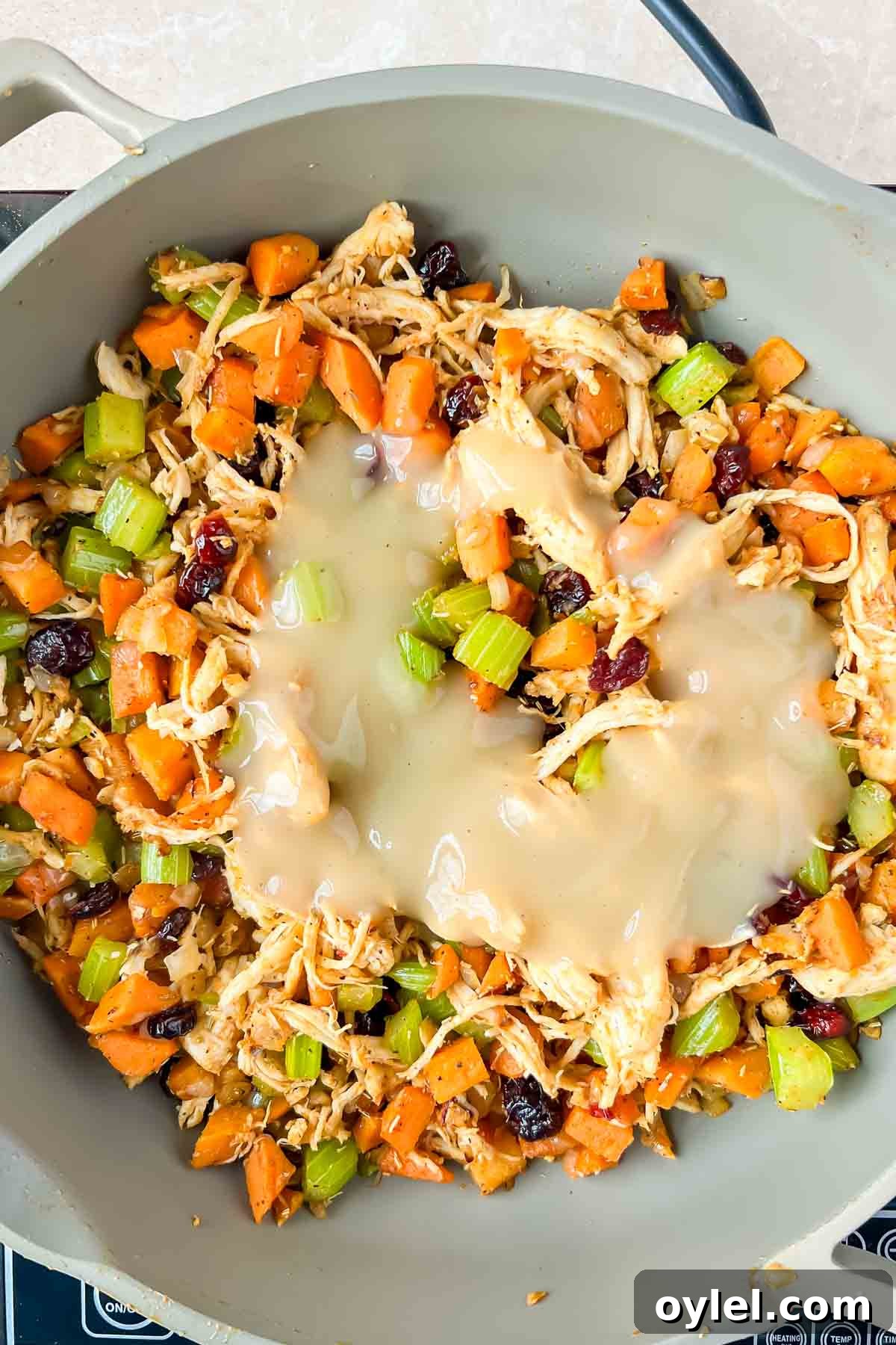 onions, carrots, celery, cranberries, and shredded turkey topped with gravy in gray skillet.