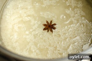 Authentic Jasmine Sticky Rice Recipe from Thailand 6 Star anise being added to the rice in a silver cooking pot