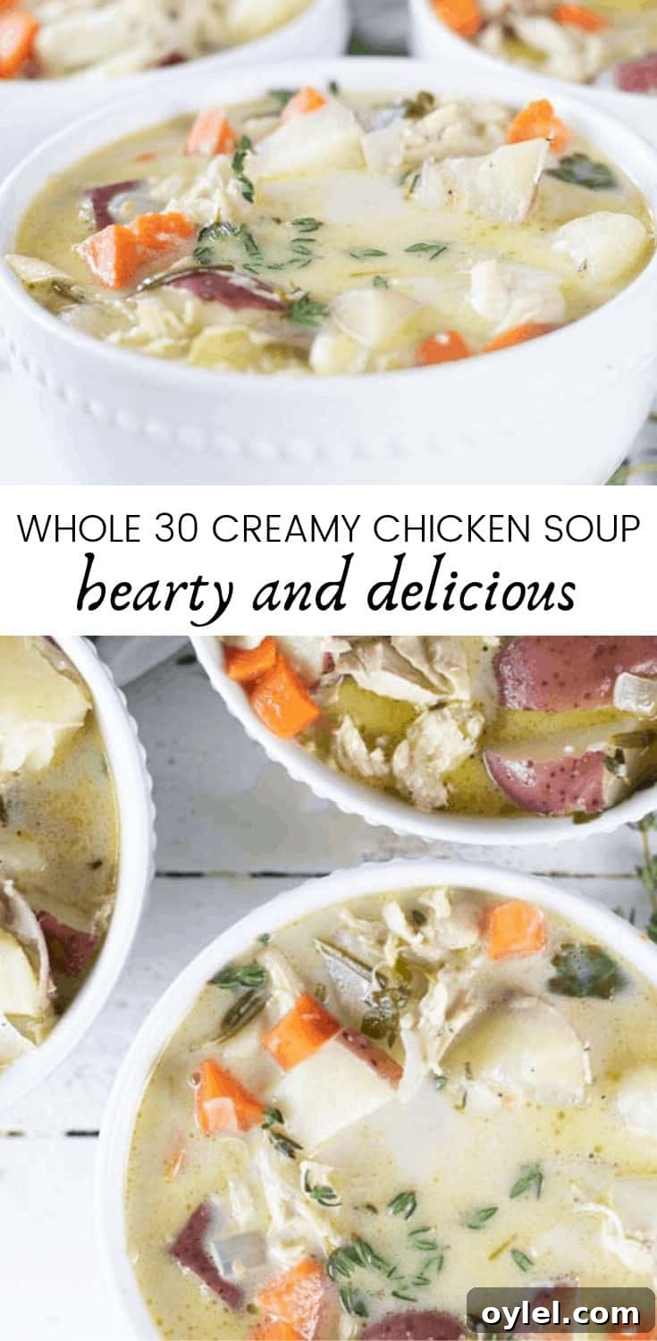 Creamy Whole30 Chicken Soup Recipe 3 img 4330 2