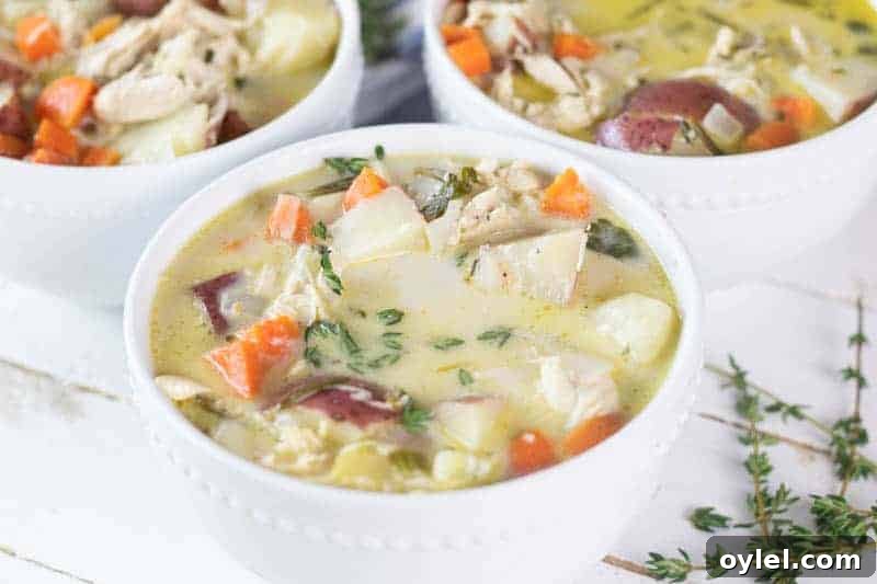 Creamy Whole30 Chicken Soup Recipe 5 Three white bowls of creamy whole 30 approved chicken soup.