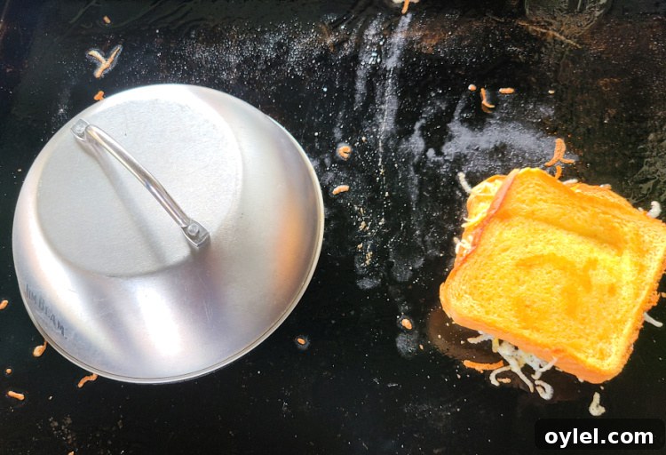 How to Make Brisket Grilled Cheese on a Blackstone Griddle 4 Brisket Grilled Cheese On The Blackstone Griddle is an amazing leftover brisket recipe! Using smoked brisket adds an amazing flavor to grilled cheese! Either use shredded brisket or brisket slices to make these. You can add different cheeses to change up the flavor like Monterey Jack or Pepper Jack cheese!