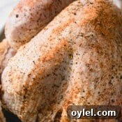 Uncooked whole turkey rubbed with seasoning.
