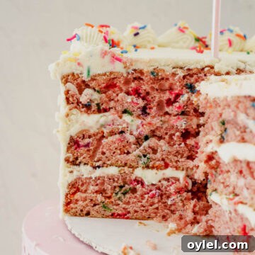 Strawberry Funfetti Cake