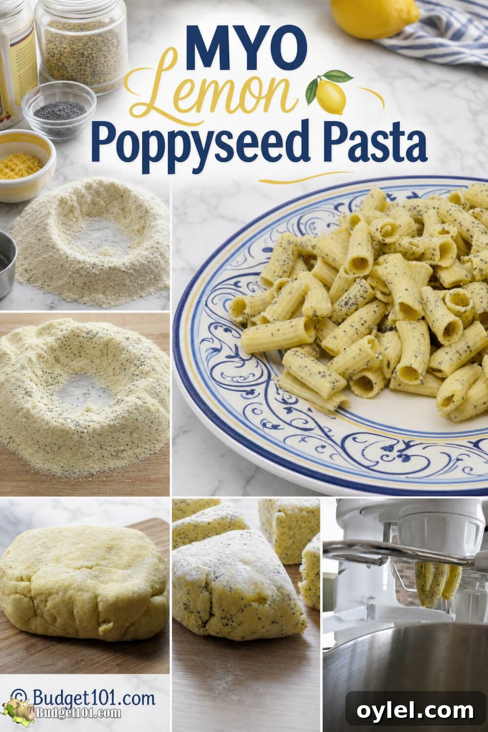 Finished homemade lemon poppyseed pasta with visible poppy seeds and text reading “MYO Lemon Poppyseed Pasta”