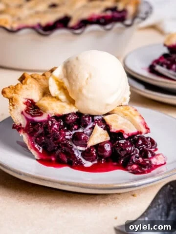 Spiced blueberry pie.
