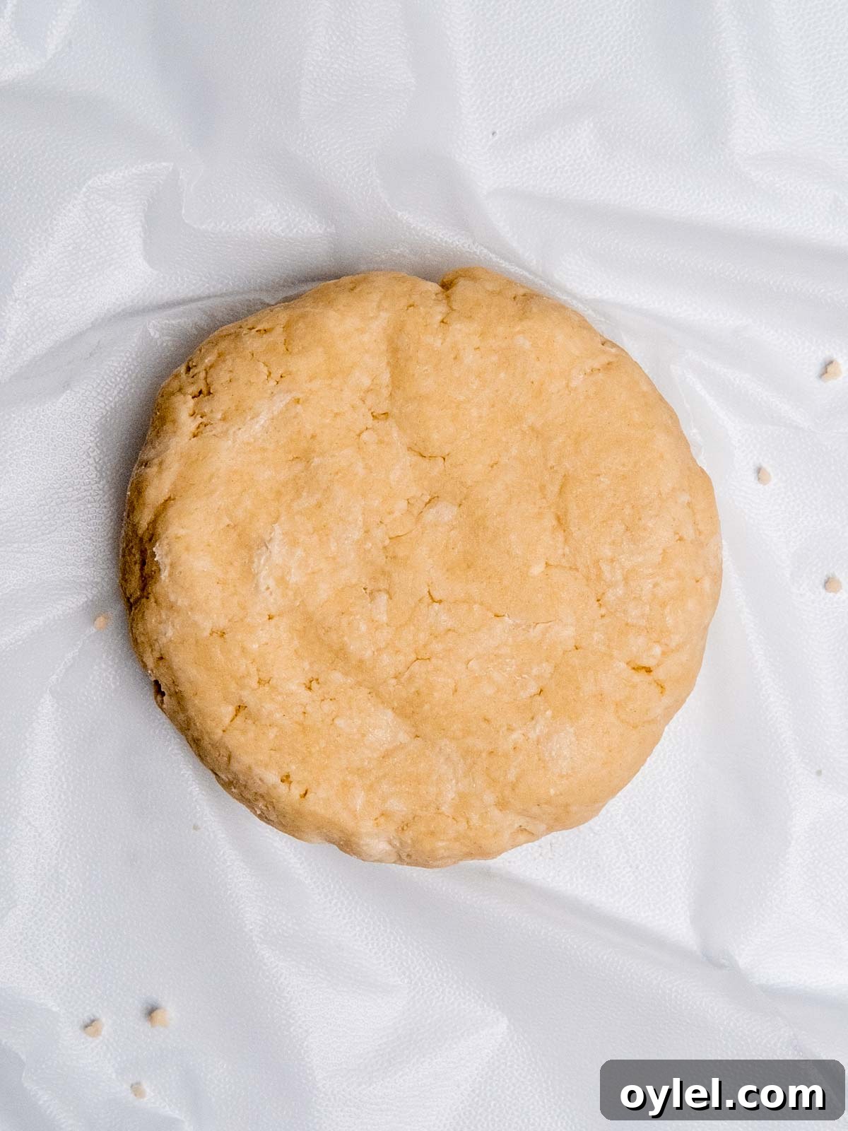 Pie dough flattened on a sheet of plastic wrap.
