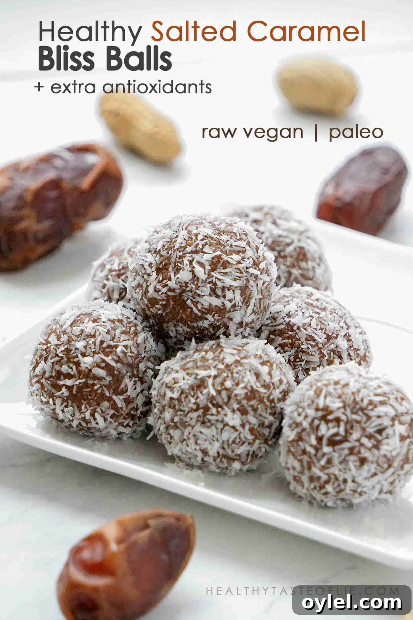 Healthy vegan peanut butter bliss balls recipe with salted caramel flavor