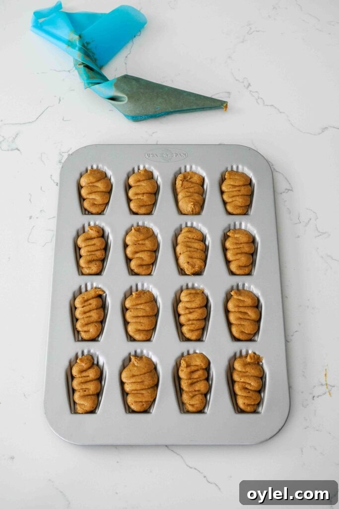 Unbaked pumpkin madeleines in a madeleine pan.