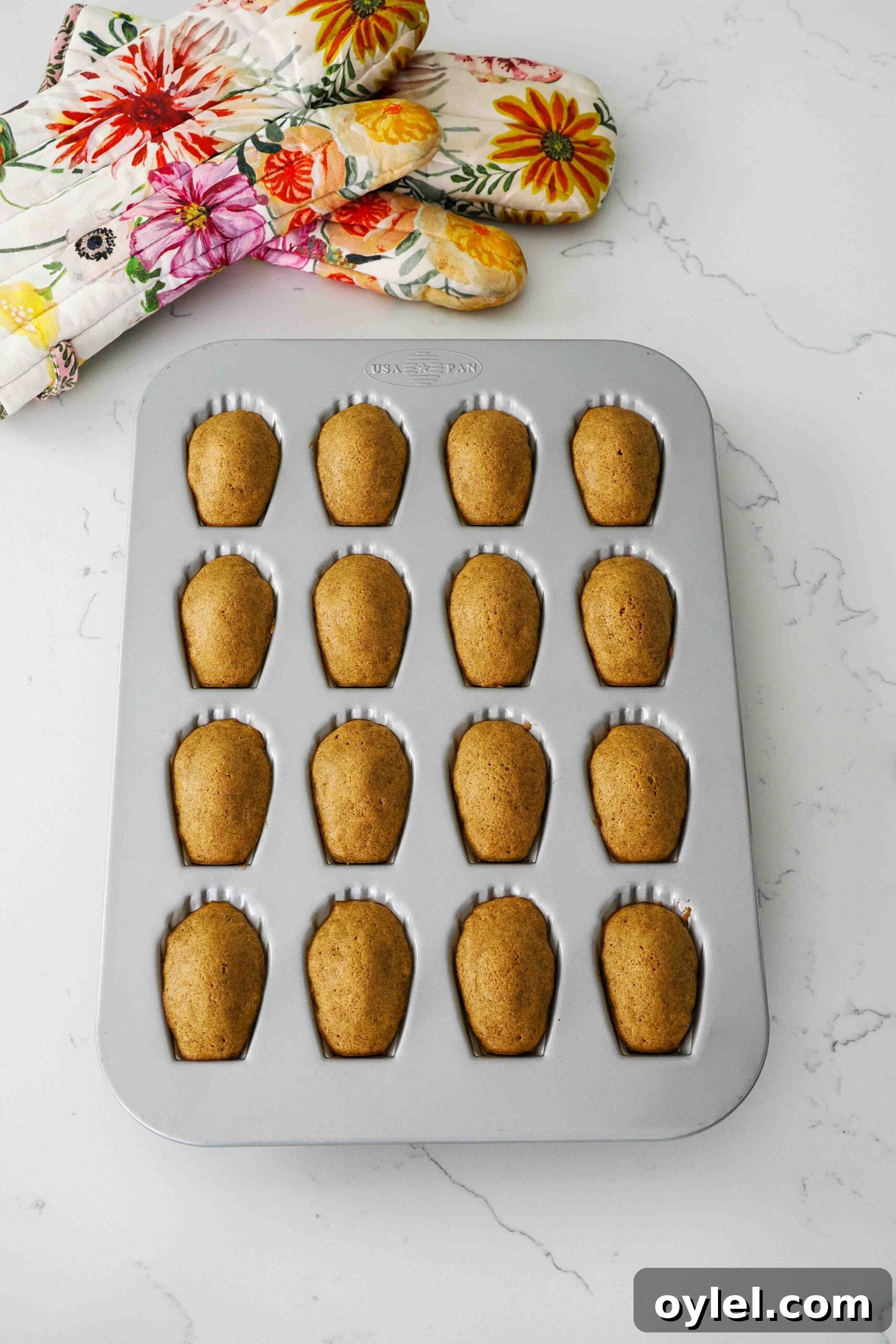Fully baked pumpkin madeleines in a madeleine pan.