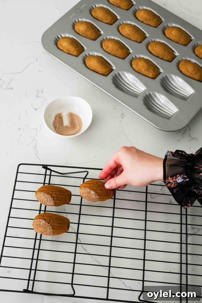 A hand places a freshly dipped pumpkin madeleine onto a wire rack.