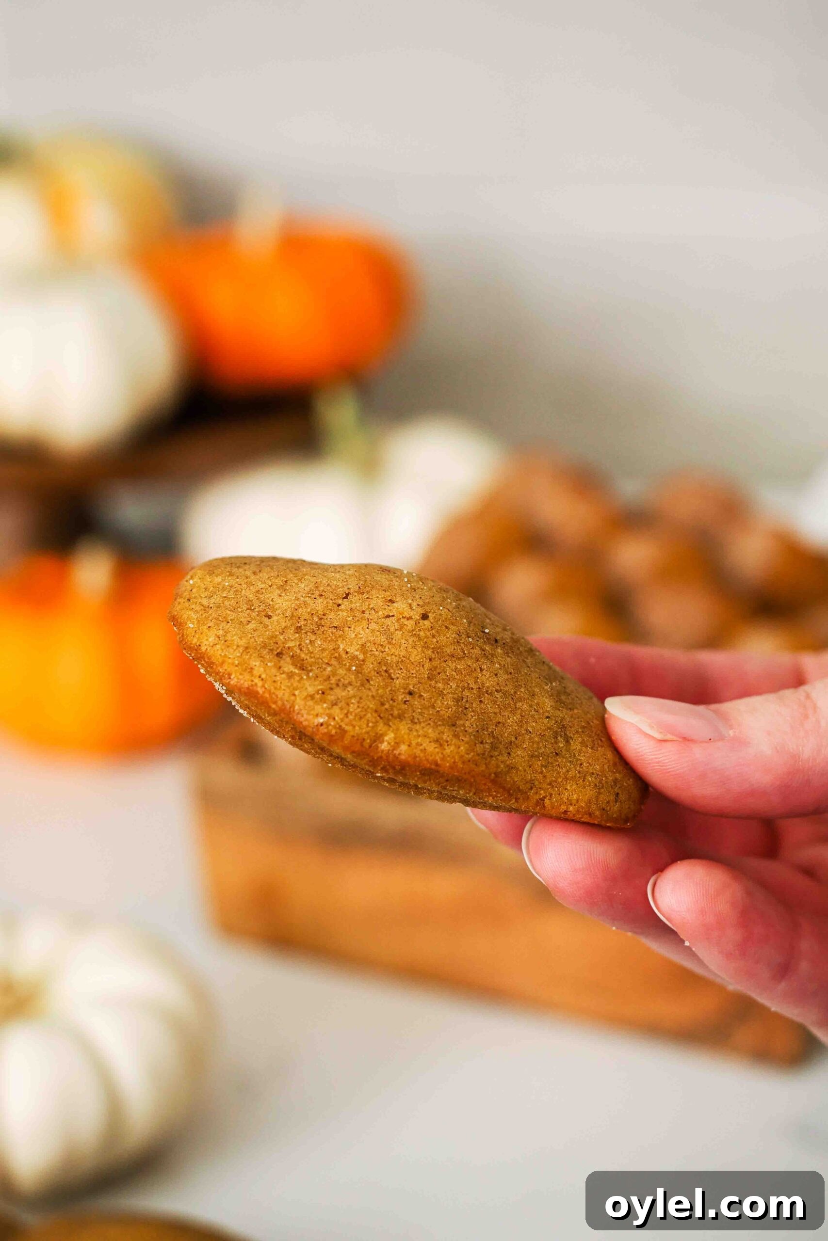 A hand holds up a pumpkin madeleine to show the hump on the back.