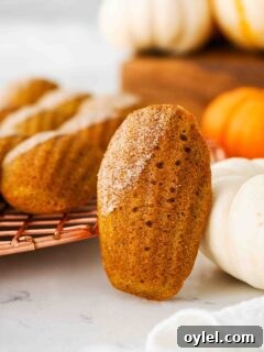 A single pumpkin madeleine propped up on a white mini pumpkin.