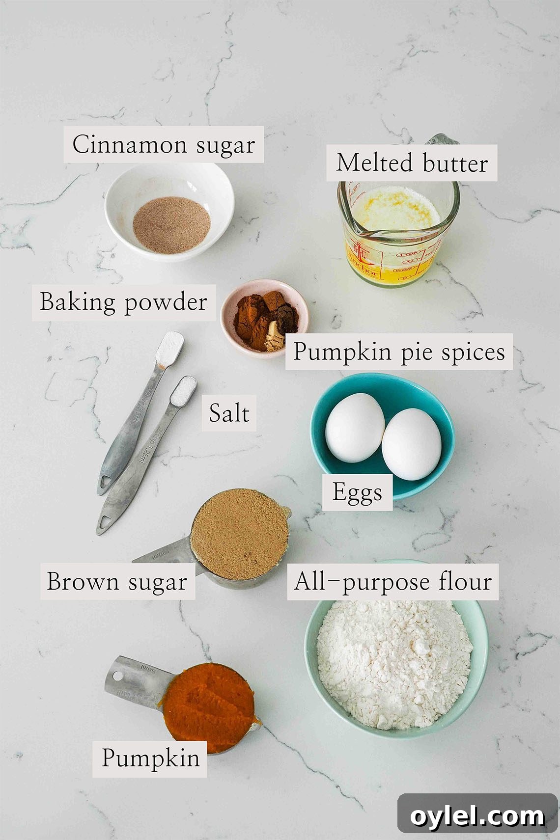 Ingredients for pumpkin madeleines on a kitchen counter.