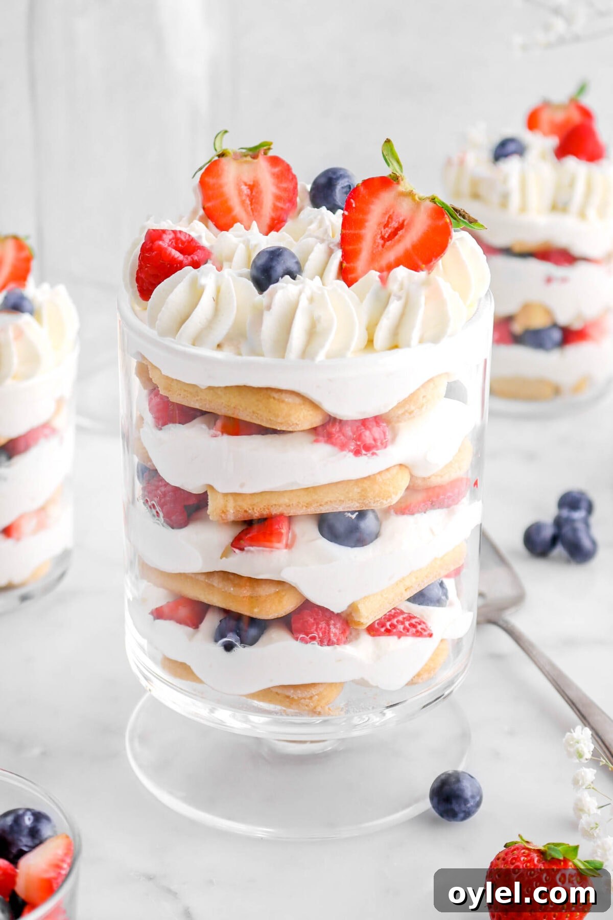 No-Bake Summer Berry and Ladyfinger Trifle Recipe 2 angled close up of berry trifle with two trifles behind and berries around.