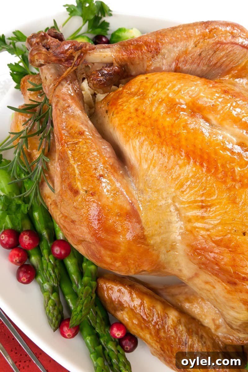 Roasted Turkey in a Plate