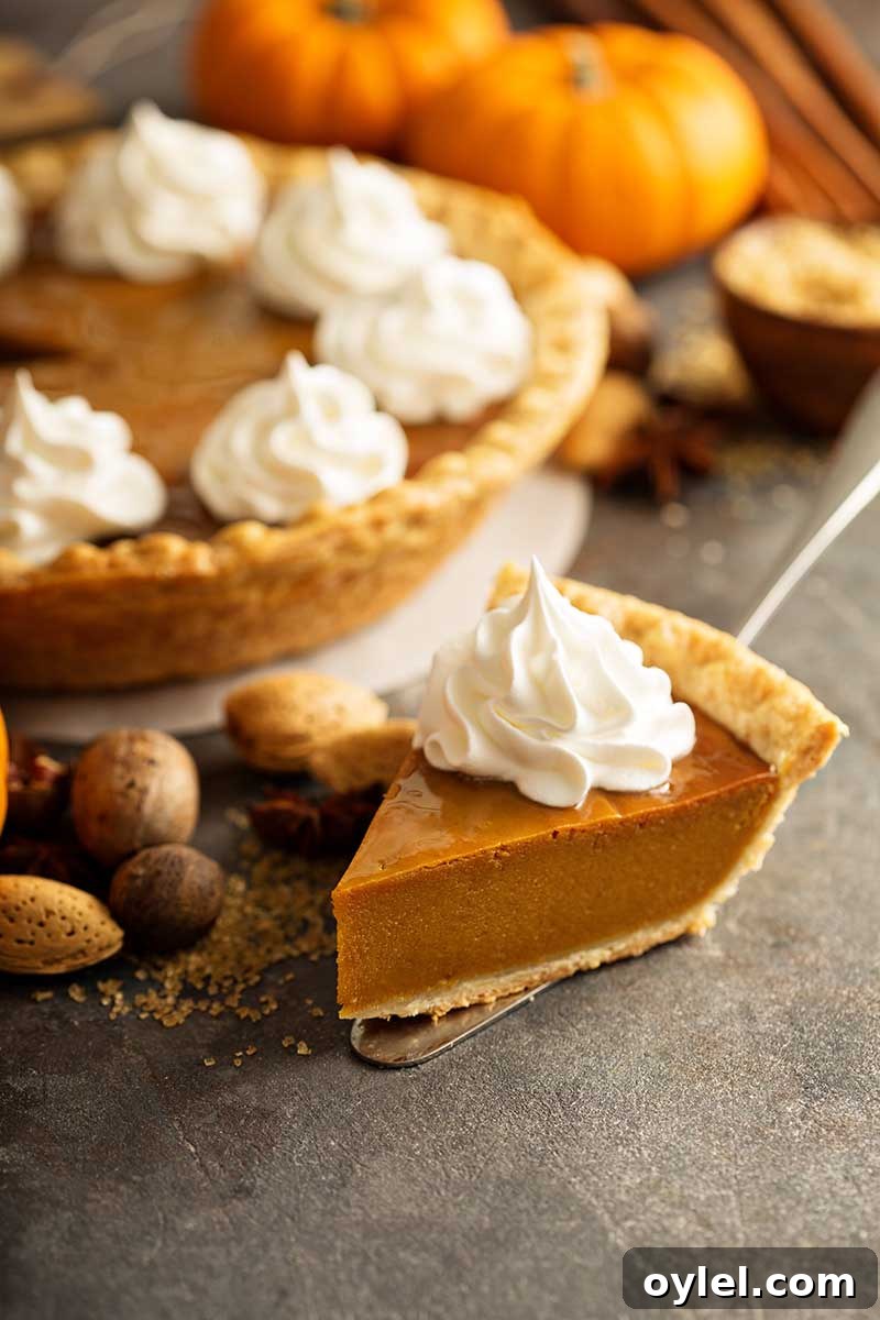 pie with Whipped Cream 