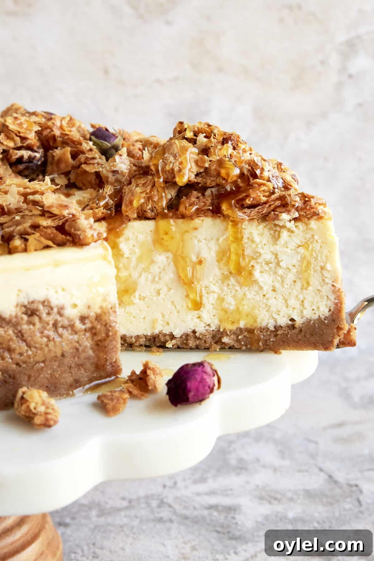 Baklava Cheesecake Recipe with Honey and Pistachios 3 Side view of a slice of baklava cheesecake.