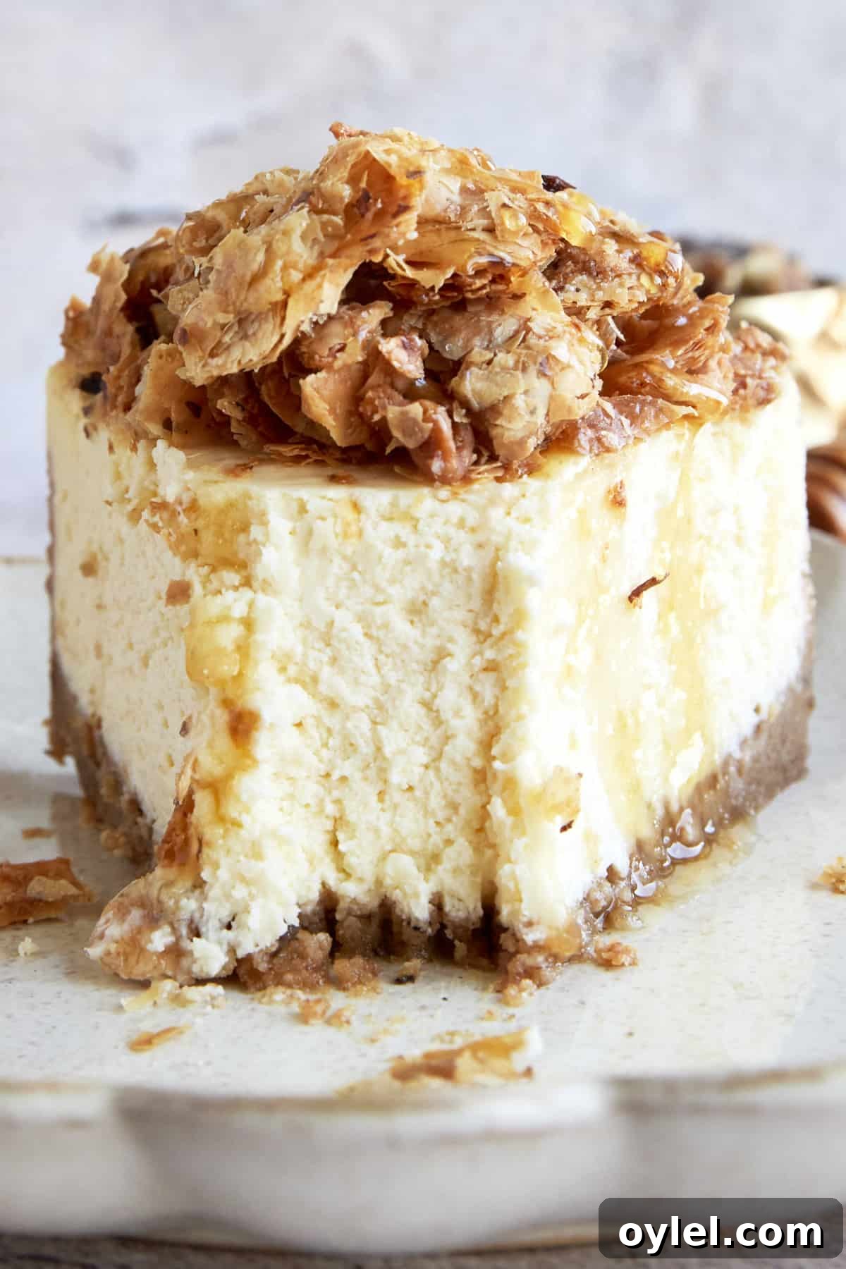 Baklava Cheesecake Recipe with Honey and Pistachios 4 Front view of a slice of baklava cheesecake with a bite taken from the tip.